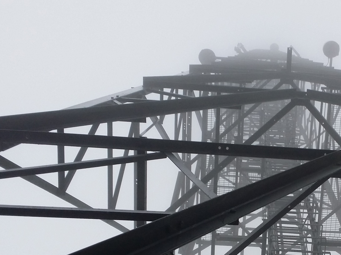 Could you join us? Lustre Consulting