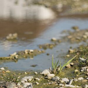 What are Sustainable Drainage Systems?